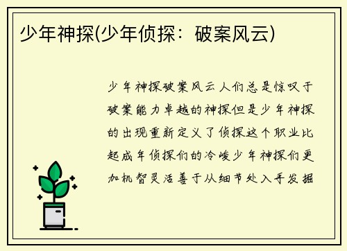少年神探(少年侦探：破案风云)